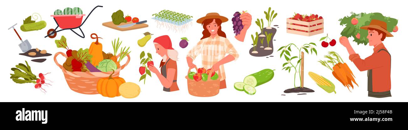 Exploitation agricole locale de production écologique et matériel agricole, les agricultrices travaillent dans le jardin Illustration de Vecteur Exploitation agricole locale de production écologique et matériel agricole, les agricultrices travaillent dans le jardin Illustration de Vecteur