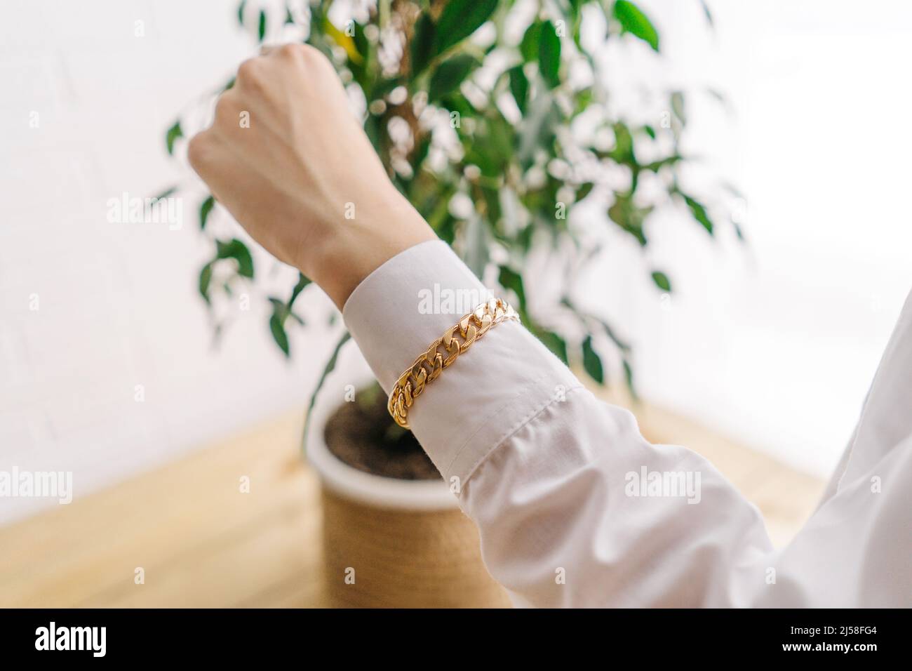 Bracelet de bijouterie doré de la chaîne sur la main de femme. Fond blanc avec plante verte. Banque D'Images