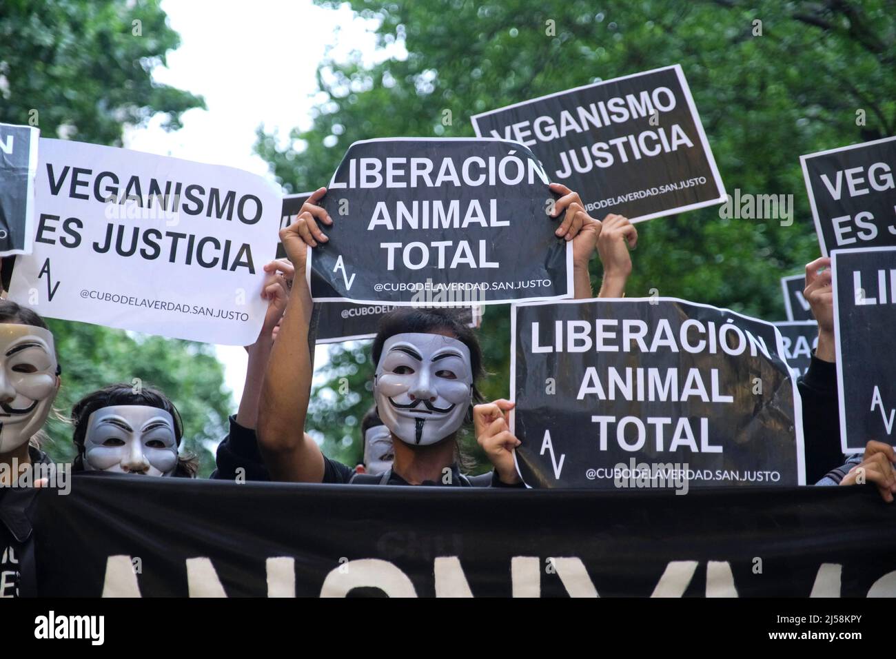 Buenos Aires, Argentine; 1 novembre 2021: Journée mondiale des Vega. Personnes avec des masques anonymes tenant des signes avec des messages animalistes: Libération totale des animaux. Vég Banque D'Images