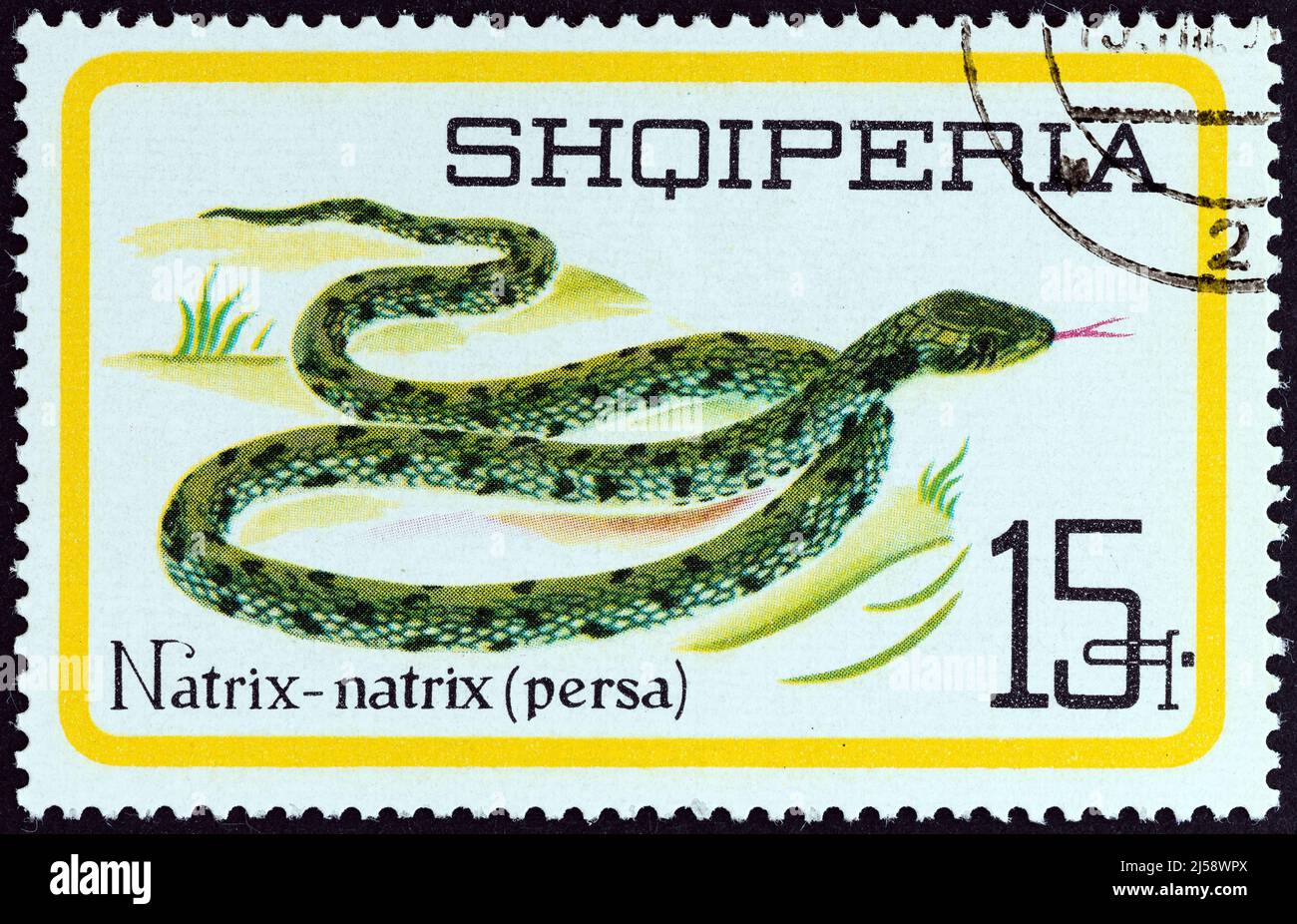 ALBANIE - VERS 1966 : un timbre imprimé en Albanie dans le numéro 'Reptiles' montre le serpent à gazon (Natrix natrix persa), vers 1966. Banque D'Images