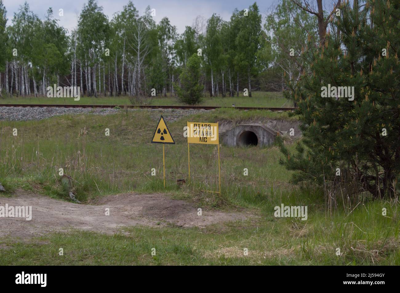 Connectez-vous à Tchernobyl. Contamination supplémentaire. Forêt rouge Banque D'Images