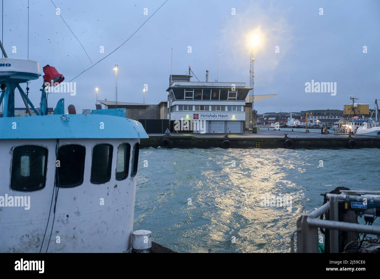 DANEMARK, Jutland, Hirtshals, Port de pêche de la mer du Nord avec bateaux de pêche / DÄNEMARK, Jütland, Hirtshals, Nordsee Hafen, Fischerboote Banque D'Images