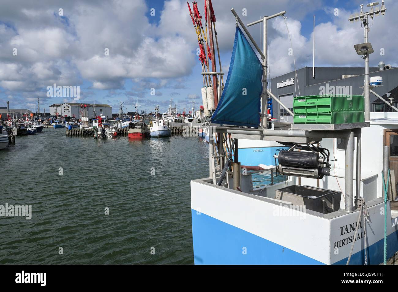 DANEMARK, Jutland, Hirtshals, Port de pêche de la mer du Nord avec bateaux de pêche / DÄNEMARK, Jütland, Hirtshals, Nordsee Hafen, Fischerboote Banque D'Images