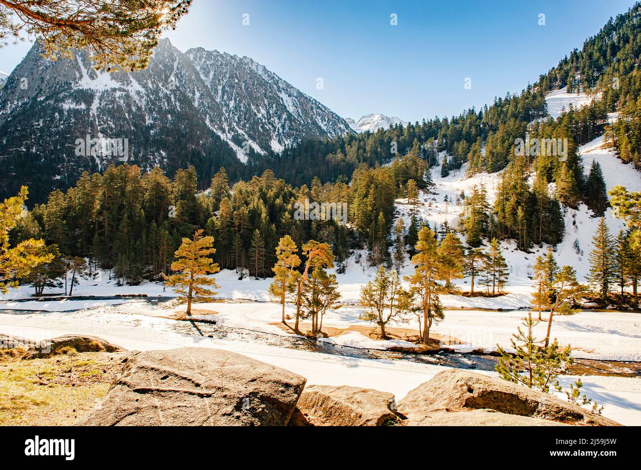 Printemps sur le plateau du Pont d'Espagne au-dessus de Cauterets dans le Parc National des Pyrénées, France Banque D'Images