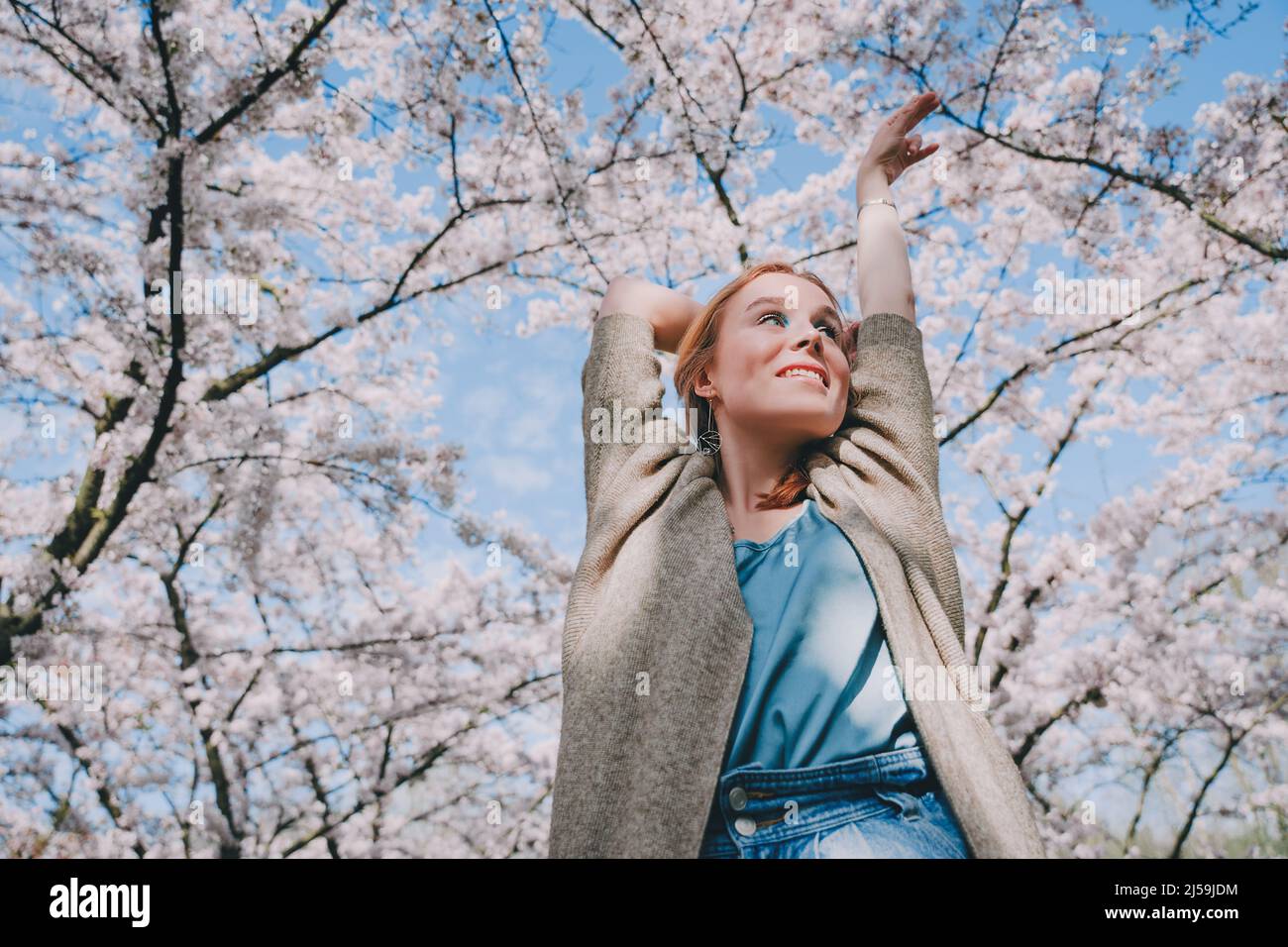 Jeune femme profitant de la nature au printemps. Pique-nique avec un verre de vin sous les cerisiers en fleurs. La femme aime la vie et un beau parc avec des cerisiers Banque D'Images