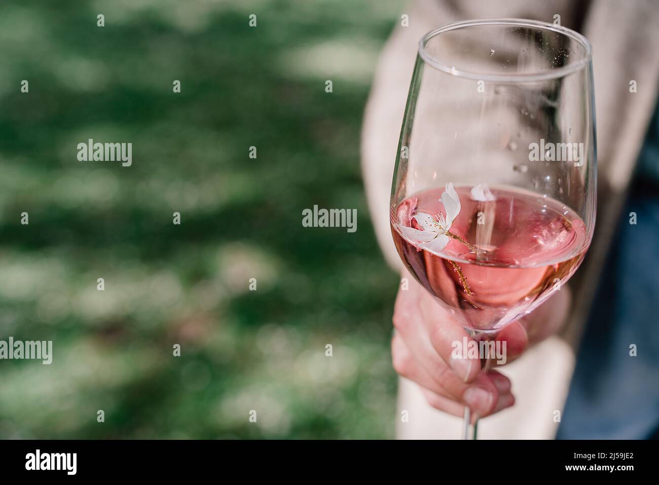 La fille tient dans sa main un verre de vin rose avec une fleur de sakura ou une fleur de cerisier. Élégante bannière pour boissons au vin. Ambiance printanière, jour ensoleillé Banque D'Images