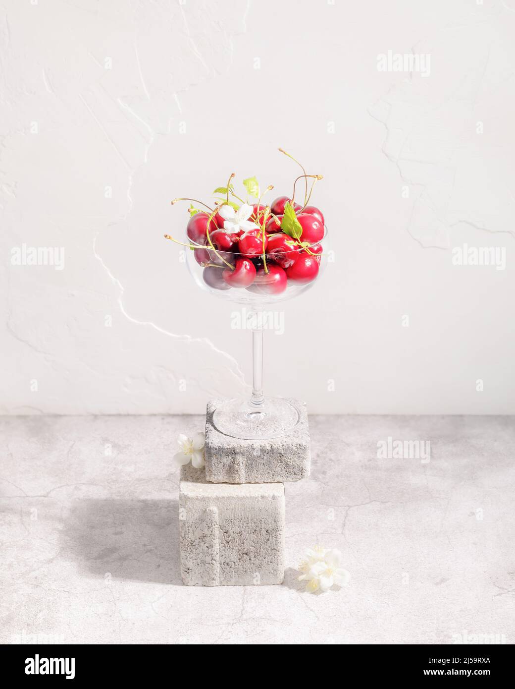 Temps de récolte, saison des cerises. Composition d'été avec un verre rempli de cerises sur un podium en pierre sur un fond neutre clair avec espace de copie. Le Banque D'Images