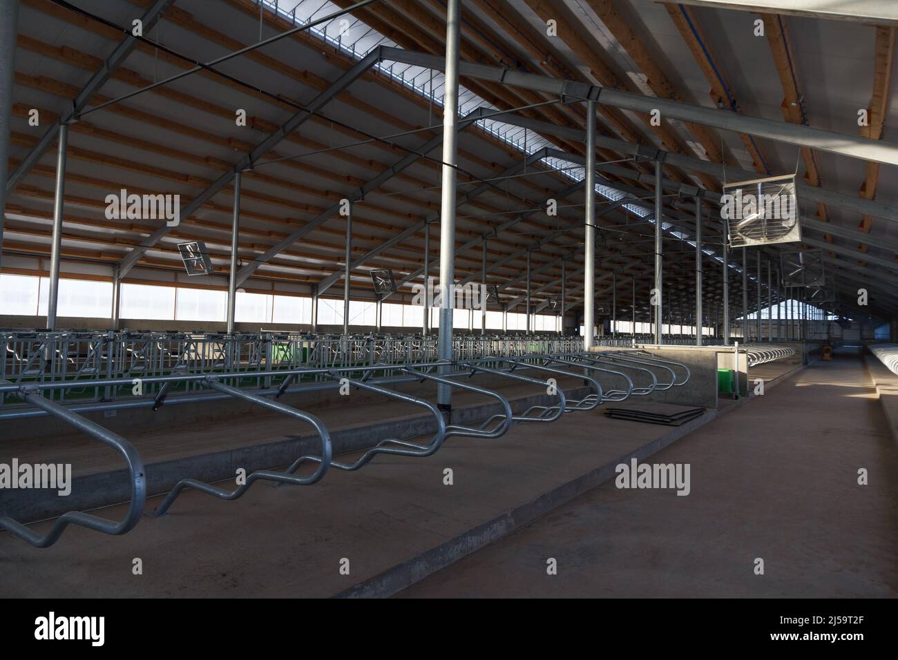 Grand bassin de vache pour les vaches laitières dans l'étape finale de la construction Banque D'Images