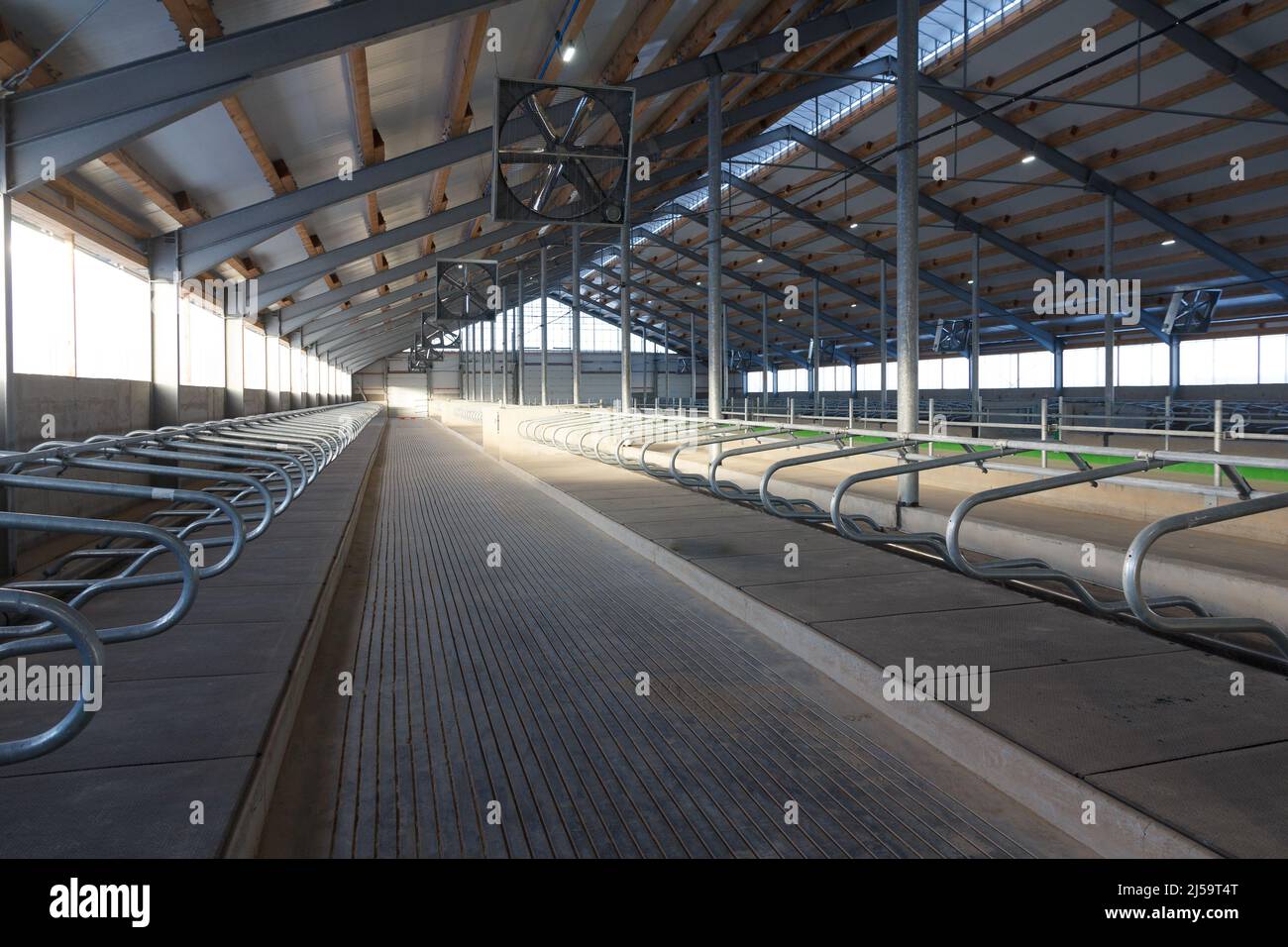 Grand bassin de vache pour les vaches laitières dans l'étape finale de la construction Banque D'Images