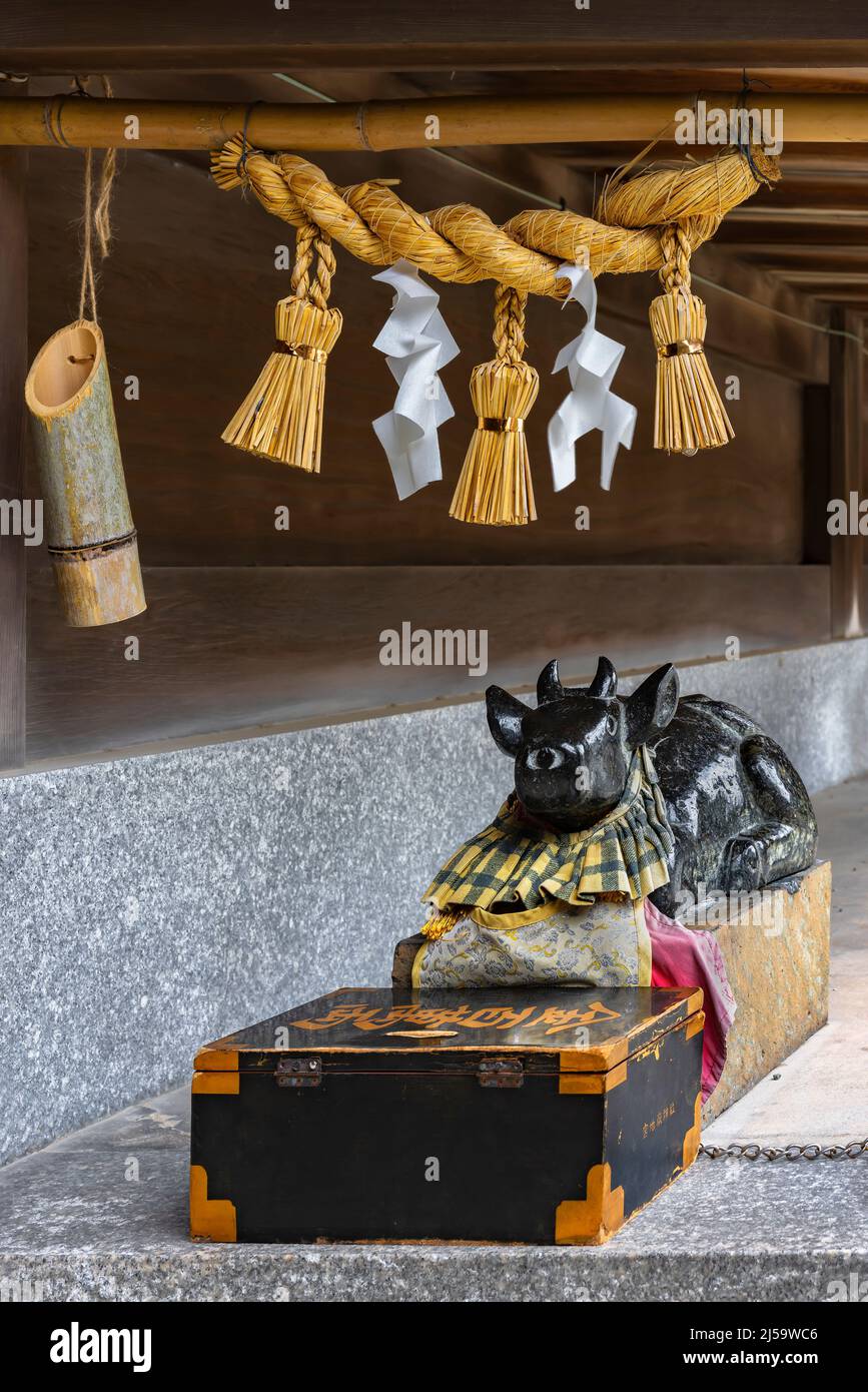 kyushu, japon - décembre 08 2021 : sculpture en pierre représentant un nadeushi ox orné d'un bébé bavoir mis de côté une caisse d'argent négligée par une paille sacrée shime Banque D'Images