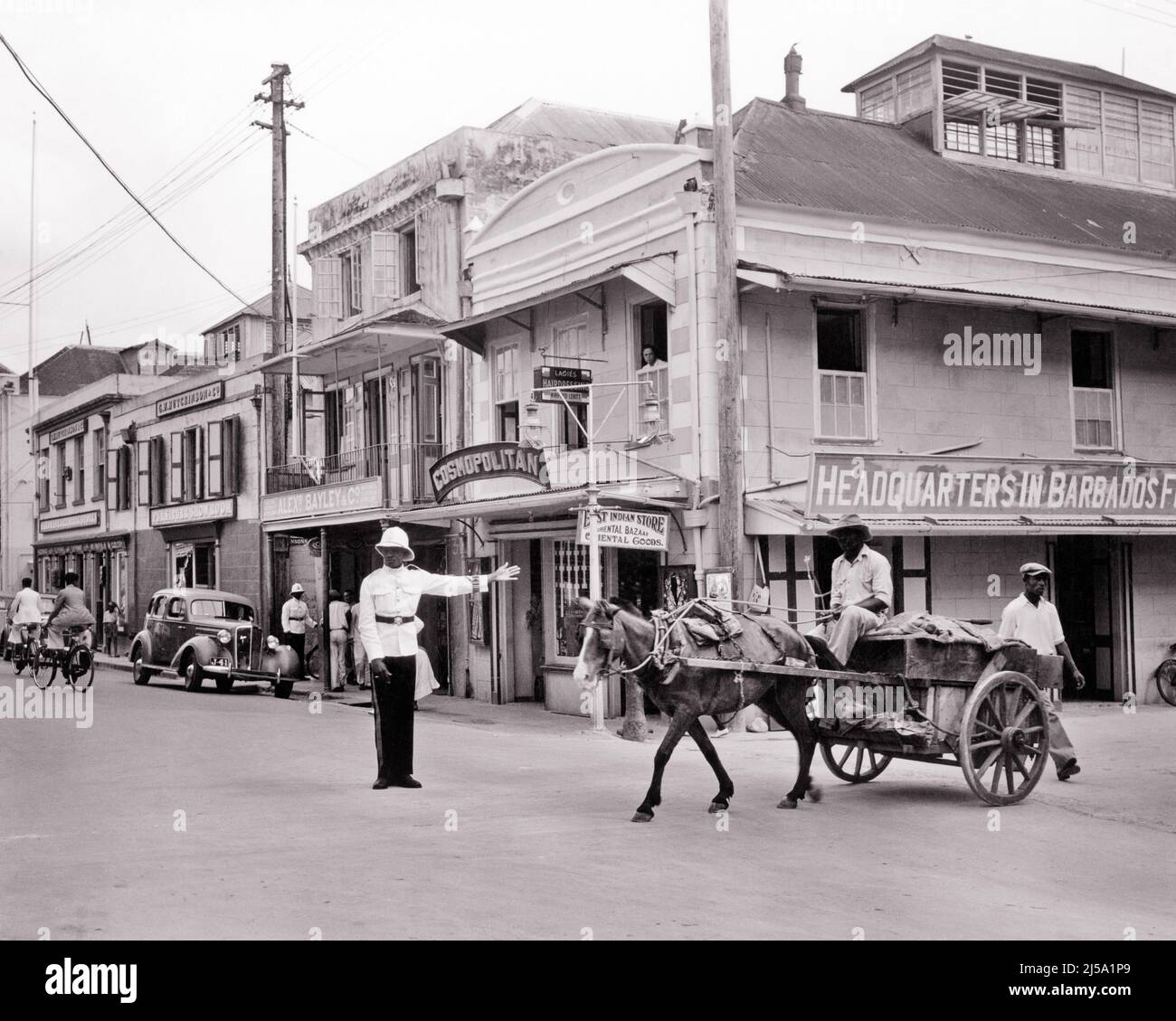 1930S 1940S POLICIERS TRADITIONNELS BRITANNIQUES EN COSTUME DIRIGEANT DES CHEVAUX ET DES WAGONS À TRAVERS L'INTERSECTION SUR BROAD STREET BARBADOS - R12561 PAL001 HARS VÉLO TRANSPORT COPY ESPACE PERSONNES PLEINE LONGUEUR HOMMES TRADITIONNELS CARAÏBES ORDER OFFICER BÂTIMENTS ROUES VÉLOS TRANSPORT B&W BIKES COP PROTECT MAMMIFÈRES INTERSECTION PROPRIÉTÉ ET LARGE DIRECTION OCCUPATIONS UNIFORMES IMMOBILIERS STRUCTURES WAGONS COSTUMÉS EDIFICE BARBADE HOMMES POLICIERS COPS JE DIRIGE LES BADGES DE MAMMIFÈRES ET DE BADGES EN NOIR ET BLANC À L'ANCIENNE Banque D'Images