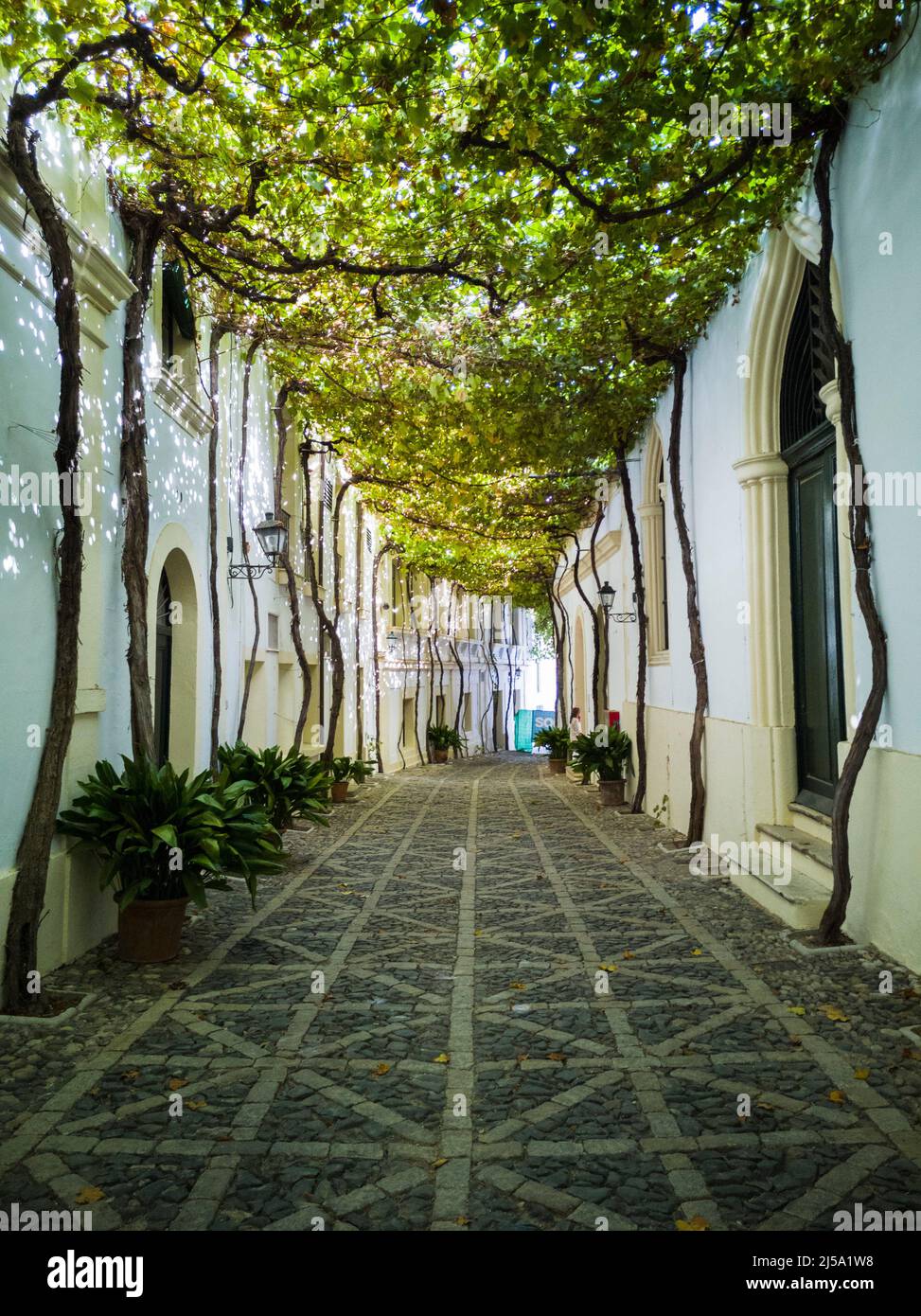 Cave Tio Pepe, Jerez de la Frontera, Espagne Banque D'Images