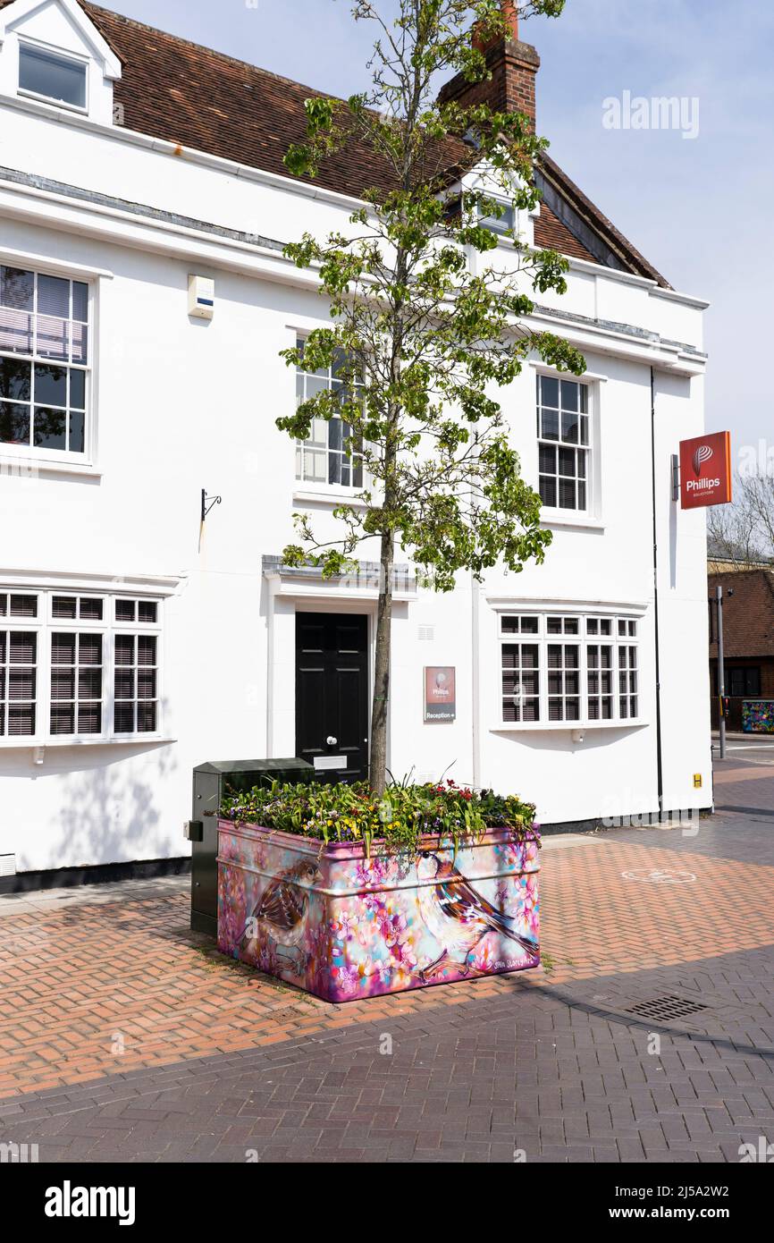 Peinture de la maison parrow par Sian Story Art sur un plantoir dans le centre-ville de Basingstoke avril 2022. Une partie de rues vivantes célébrant les artistes locaux. ROYAUME-UNI Banque D'Images