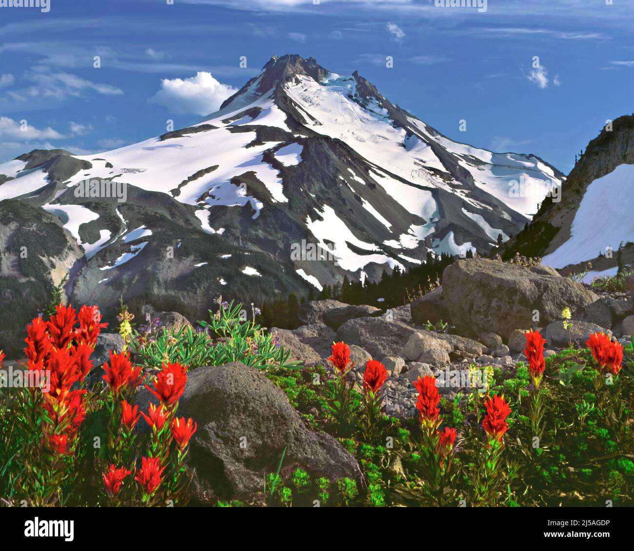 Mount Jefferson, Cascade Range, Oregon Banque D'Images