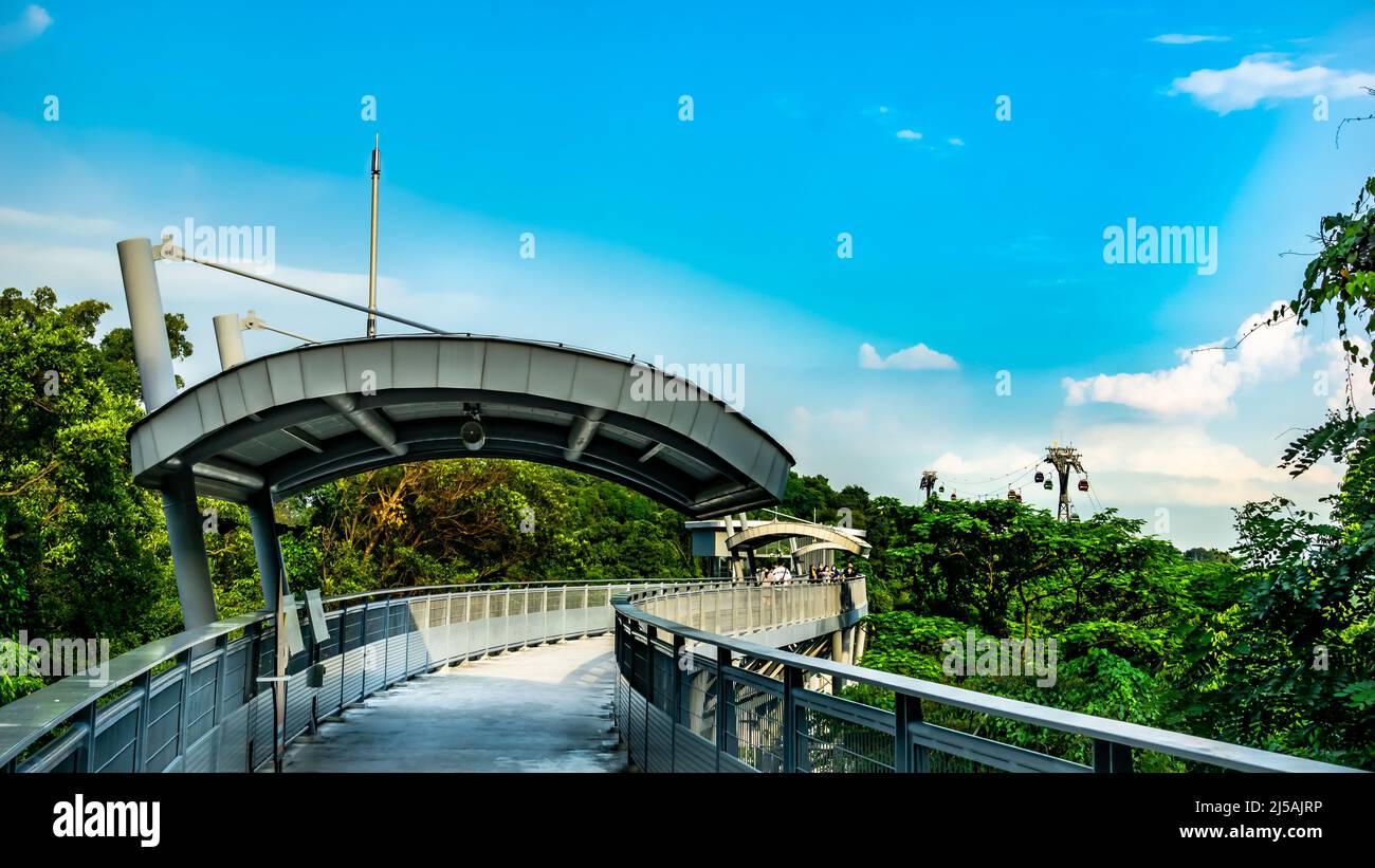 La passerelle Skywalk de fort Siloso, qui s'élève à 11 étages, offre aux clients une randonnée panoramique sur les arbres en route vers fort Siloso. Banque D'Images