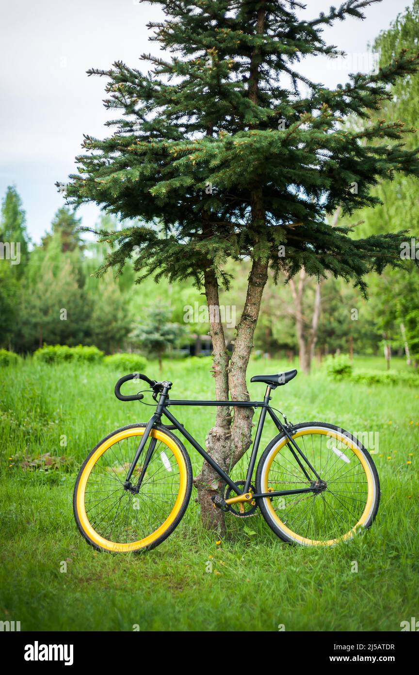 Photo d'un vélo stationné près d'un arbre, gros plan. En plein air, vous pouvez clairement voir la nature du Parc et le vélo. Banque D'Images