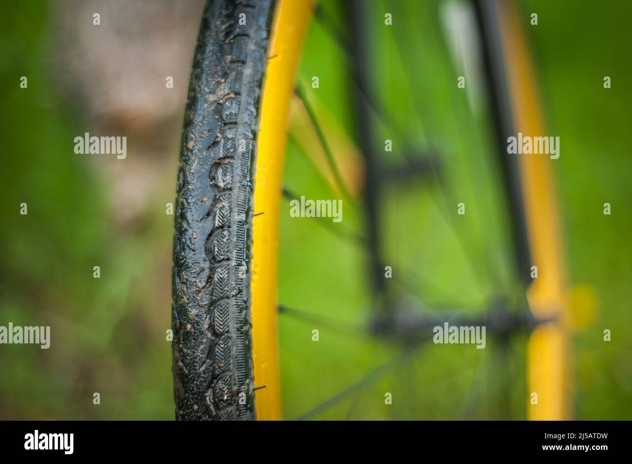 Photo d'une partie de vélo, gros plan. En plein air, la roue et la bande de roulement sont clairement visibles. Banque D'Images