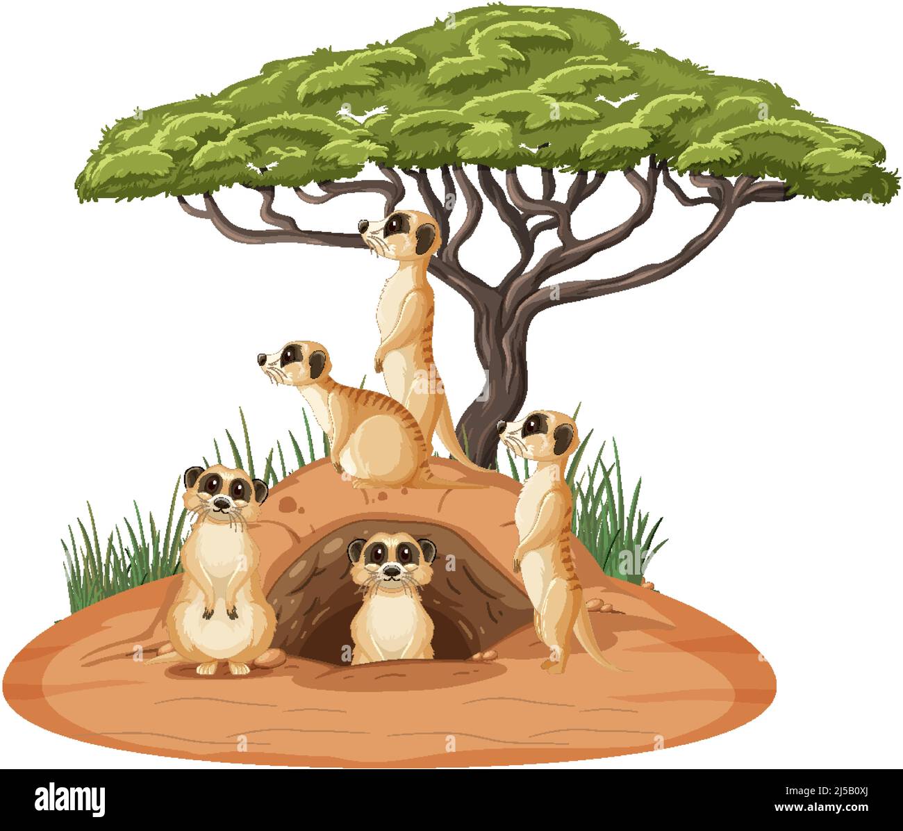 Groupe de meerkats avec le terrier dans l'illustration de style de dessin animé Illustration de Vecteur