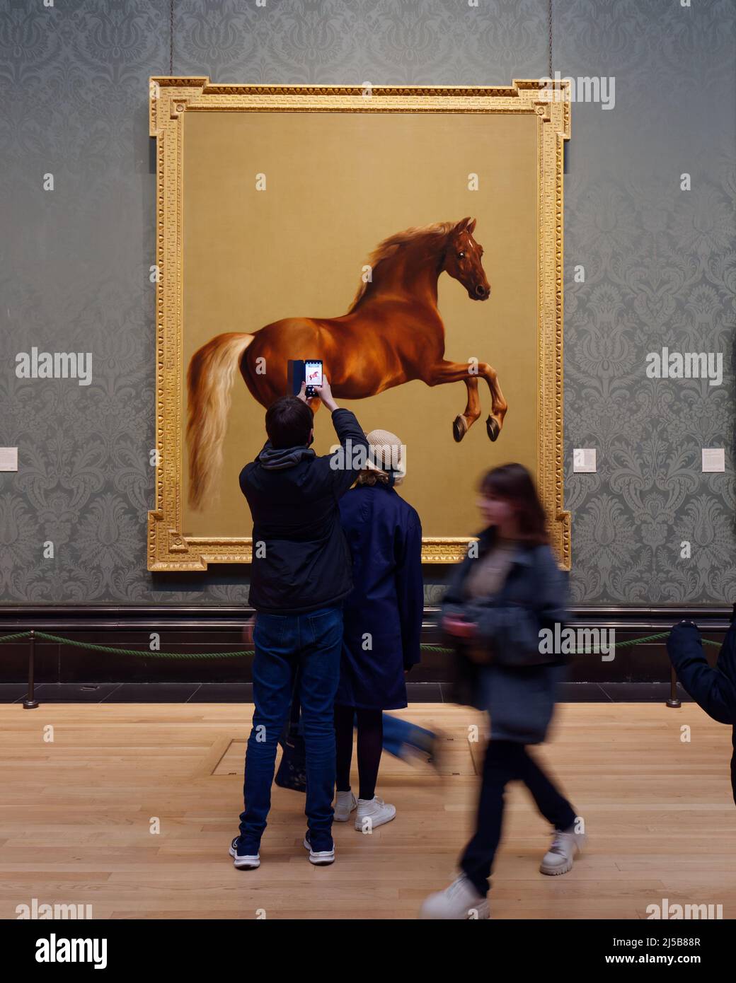 Londres, Grand Londres, Angleterre, avril 09 2022 : intérieur de la National Gallery tandis que les gens admirent et photographient les œuvres d'art d'un cheval dans la salle Sackler Banque D'Images