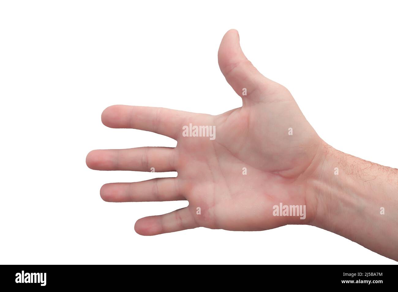 La main d'un homme est rapprochée sur fond blanc. Isoler. Banque D'Images