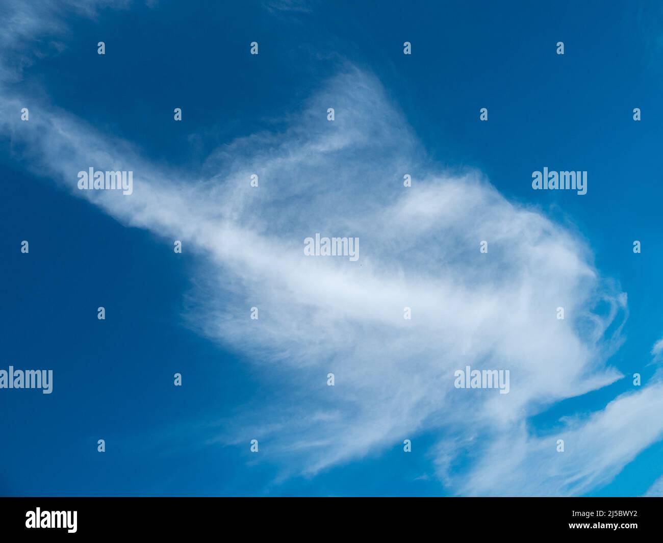 Forme de nuage abstraite d'un poisson ou d'un chat de mer sur le ciel bleu Banque D'Images