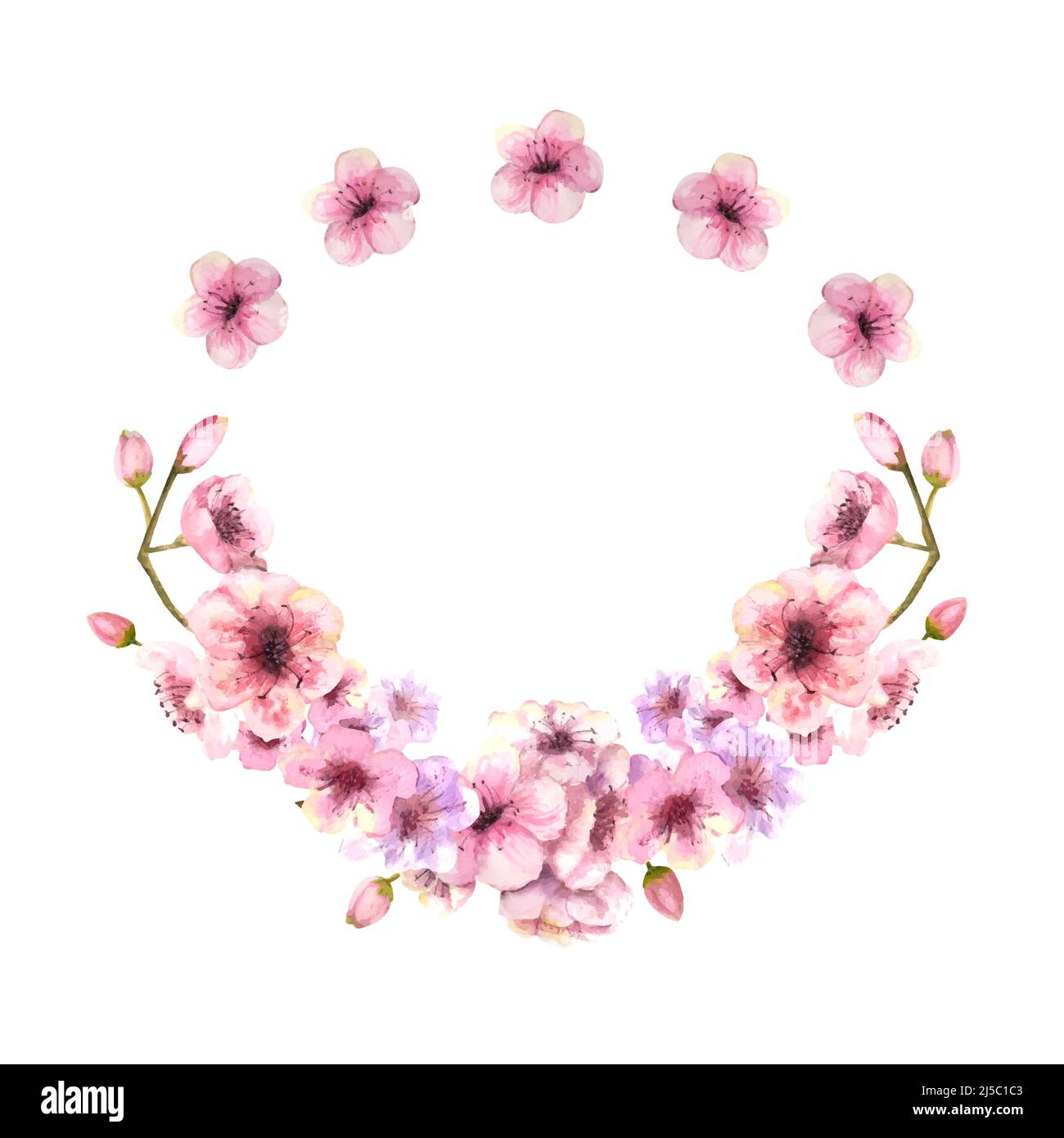Une couronne de sakura rose printemps s'épanouit sur un fond blanc isolé. Illustration aquarelle. Vecteur Illustration de Vecteur