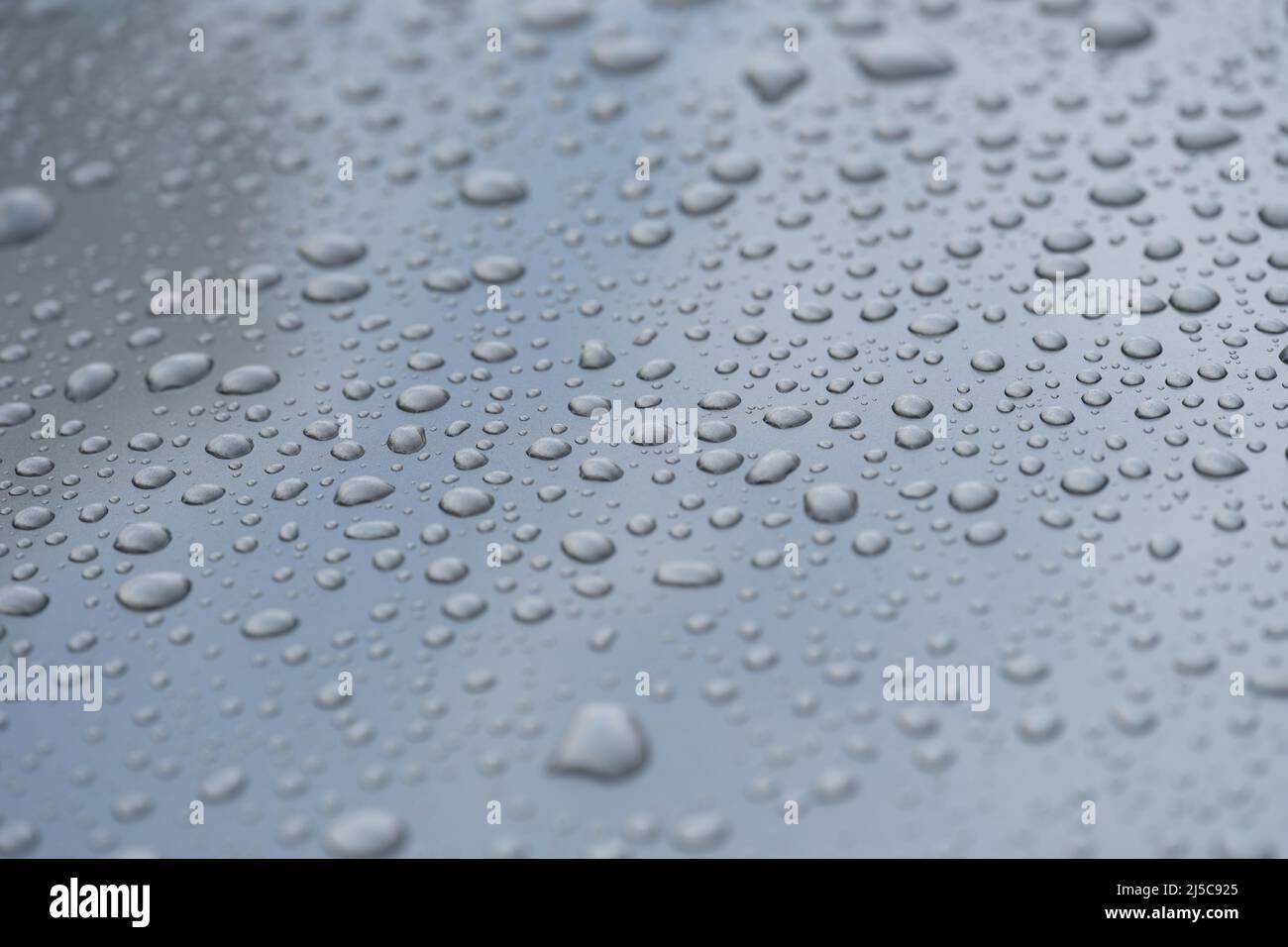 Gouttes de pluie sur le capot noir de la voiture de gros plan Banque D'Images