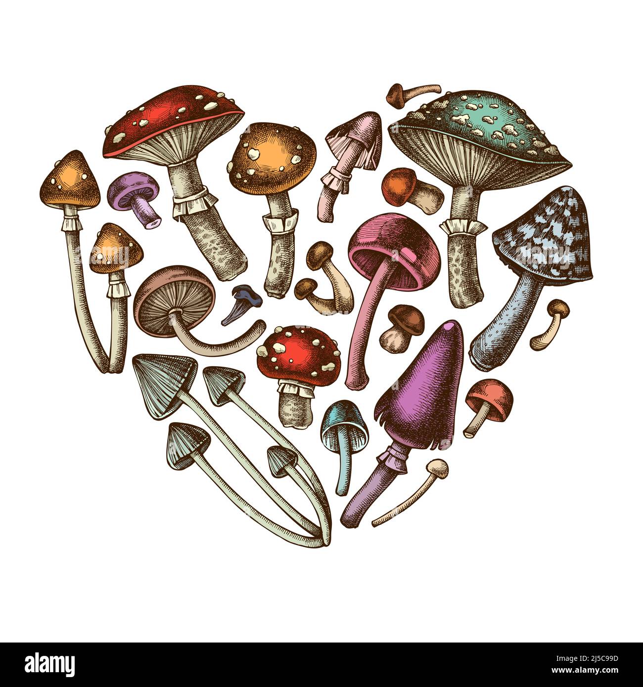 Motif coeurs de champignons de la forêt. Champignons dessinés à la main, mouche agarique, bleu, shimeji, enoki, etc Illustration de Vecteur