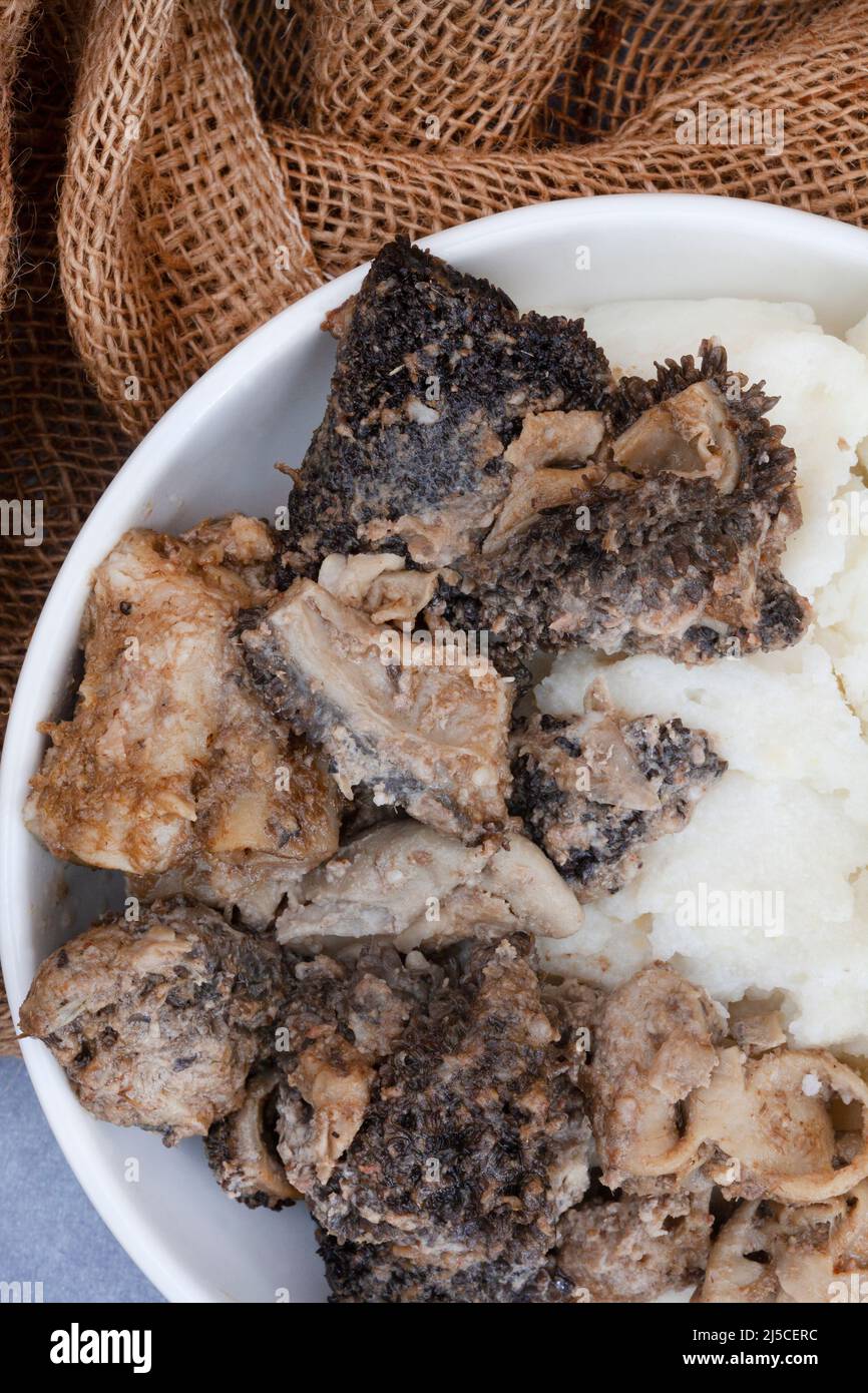 Mogodu, un ragoût sud-africain traditionnel composé d'innards hachés d'une vache ou d'une tripe servi avec du pap ou du maïs. Banque D'Images