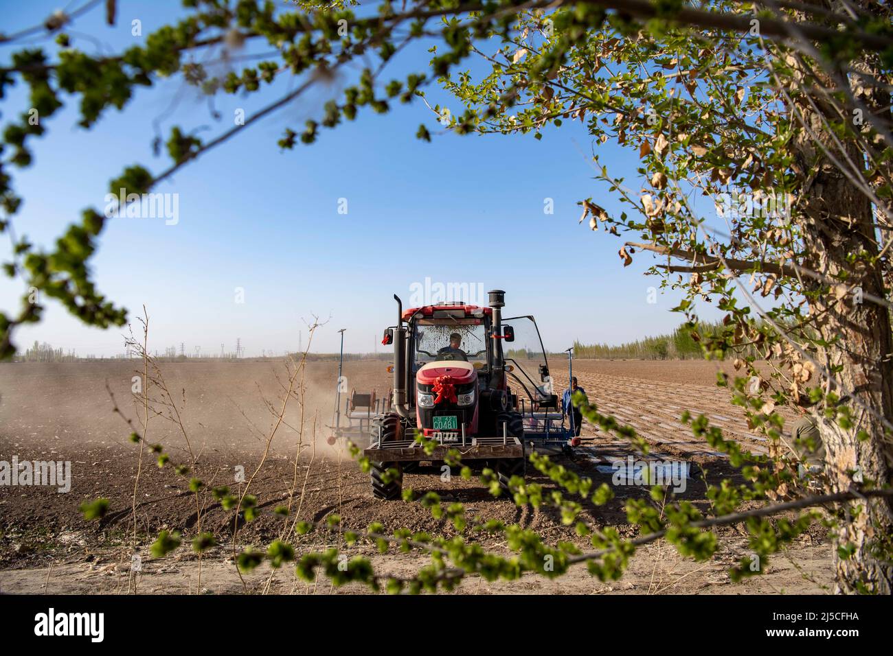 (220422) -- SHAWAN, le 22 avril 2022 (Xinhua) -- les travailleurs exploitent un semoir dans le champ de coton de SG Mehmet à Shawan, dans la région autonome de Xinjiang, dans le nord-ouest de la Chine, le 16 avril 2022. Le SG Mehmet, 50 ans, vit à Shawan, une importante région productrice de coton dans le Xinjiang. Au cours de la saison des semis au printemps, les travaux agricoles ont été effectués principalement par des équipes de plantation mécanisées embauchées. Mais le SG Mehmet passe encore son temps libre dans les 700 mu (environ 46,7 hectares) de champ de coton qu'il a contracté avec son partenaire d'affaires Duan Zhizhong, apprenant de nouvelles techniques de plantation de la part d'autres. En plus de travailler dans les champs de coton Banque D'Images