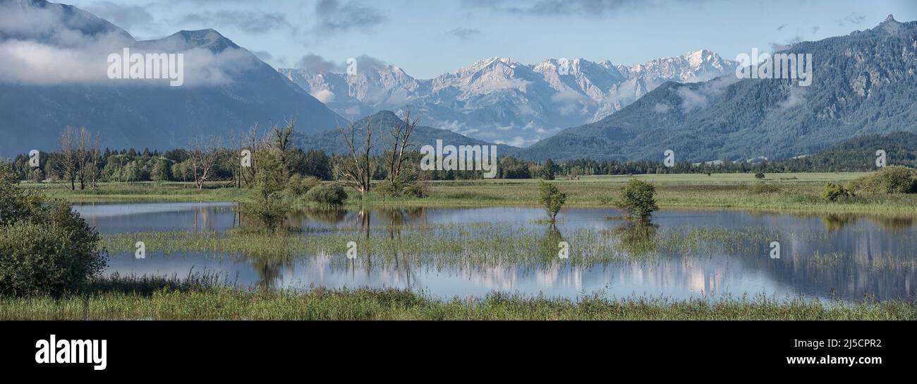 Vue sur les montagnes Wetterstein avec les Murnauer Moos en premier plan, inondés après de fortes pluies. [traduction automatique] Banque D'Images