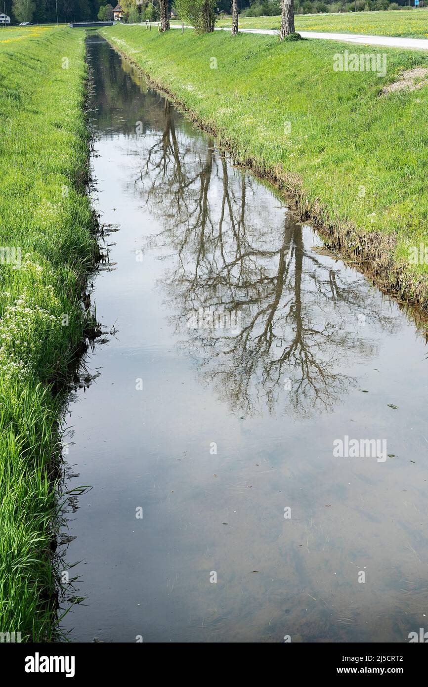 Canal d'eau dans la plaine de Linth, canton de Saint-Gall, Suisse Banque D'Images