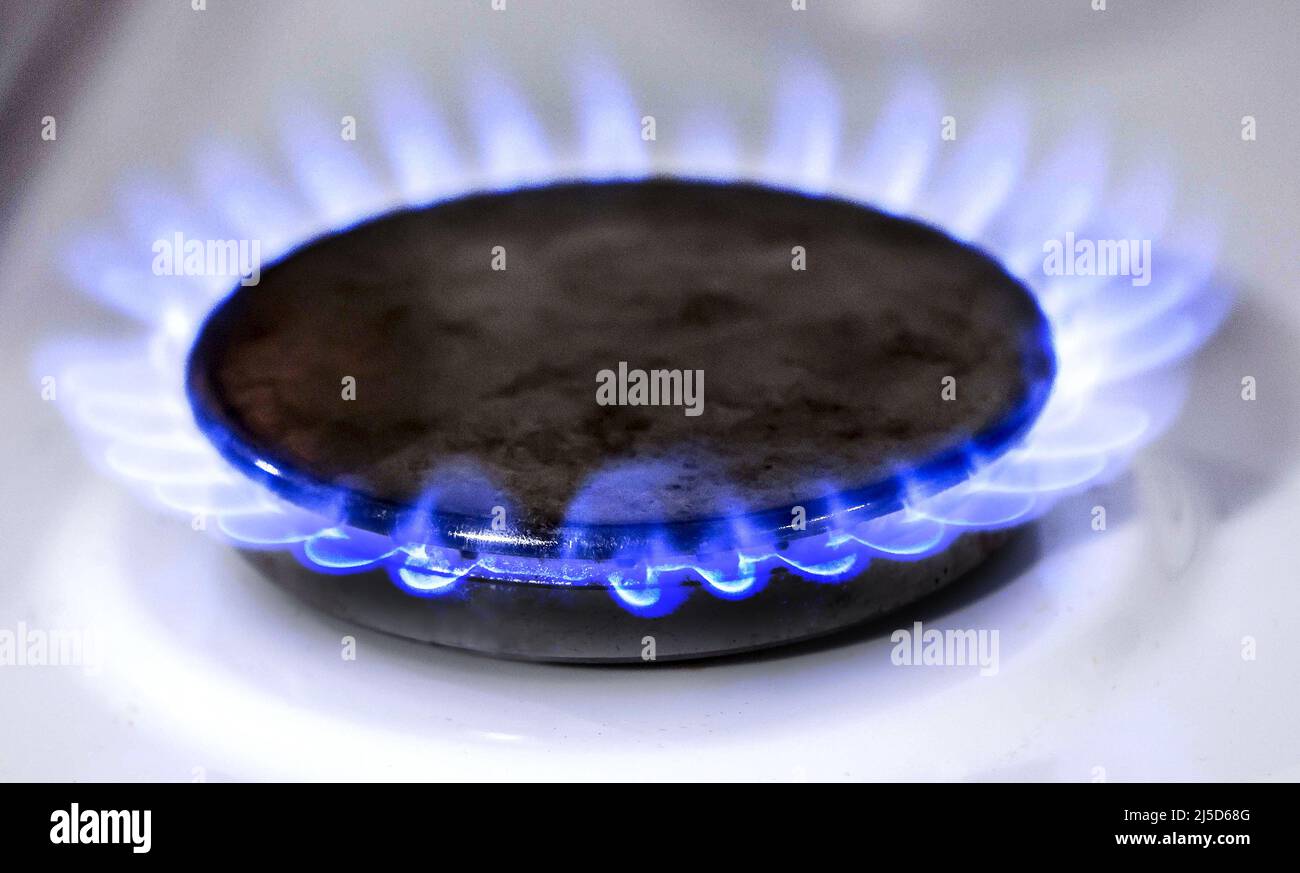 Berlin, 10.03.2022 - plaque de cuisson au gaz sur un poêle à gaz. En raison  de la guerre d'Ukraine, le prix du gaz naturel et du pétrole brut a grimpé  en flèche. [