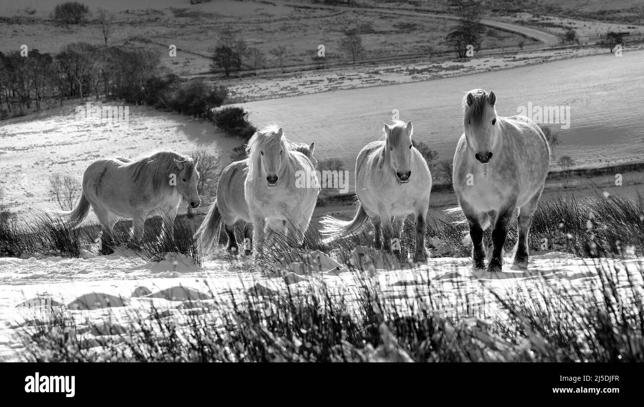 Ponts de Lakeland Fell Banque D'Images