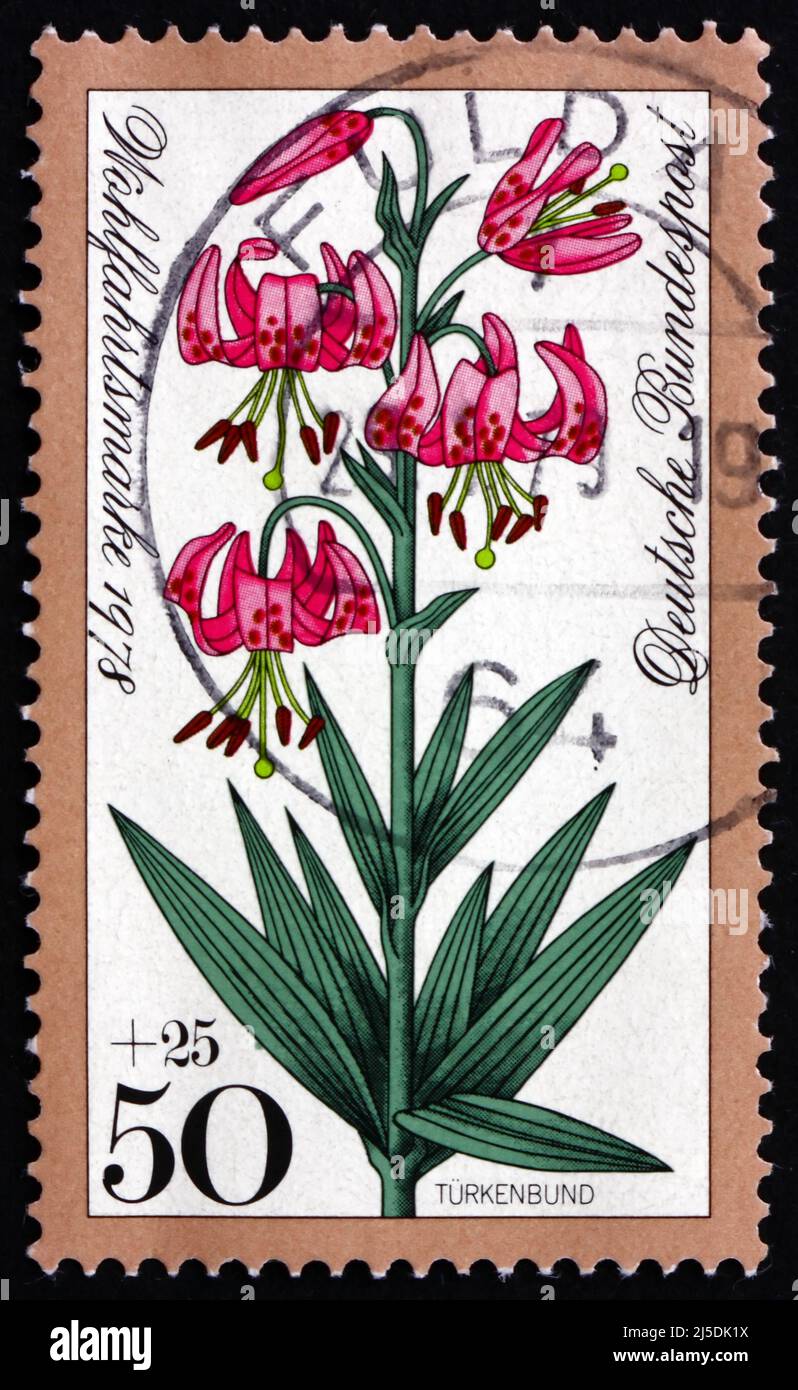 ALLEMAGNE - VERS 1978: Un timbre imprimé en Allemagne montre le Cap Lily de Turk, Lilium Superbum, Alpine Flower, vers 1978 Banque D'Images