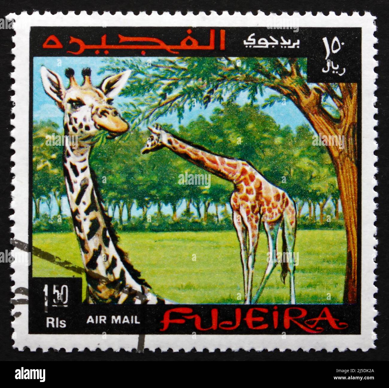 FUJEIRA - VERS 1969 : un timbre imprimé dans la Fujeira montre Giraffe, Giraffa Camelopardalis, le plus grand animal terrestre vivant, vers 1969 Banque D'Images