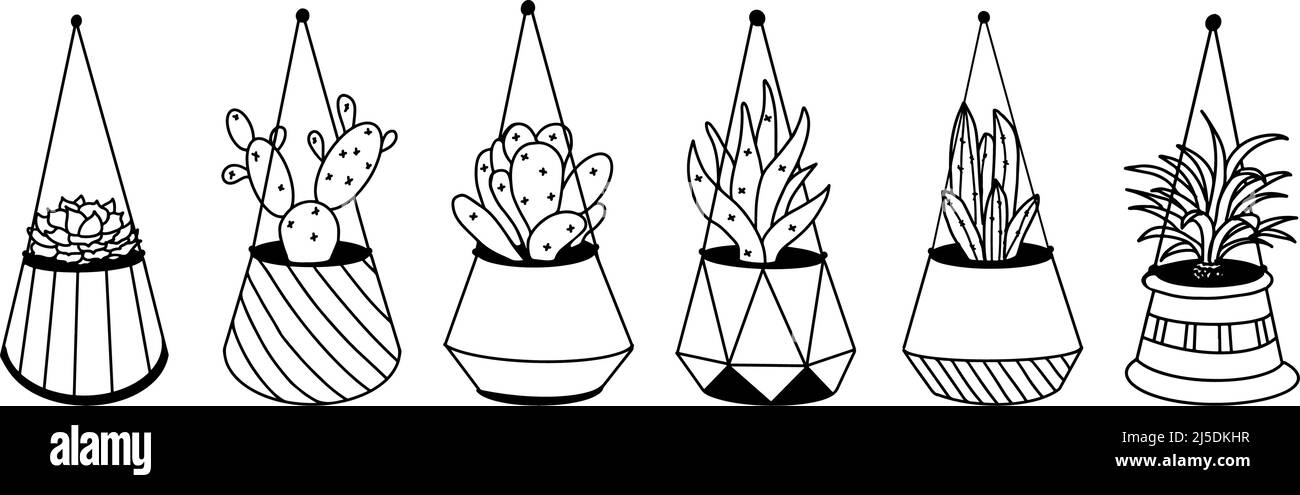 Fleurs dans des pots suspendus, décoration d'intérieur. Dessin à la main, esquisse linéaire noir et blanc. Cactus et succulents. Illustration vectorielle. Illustration de Vecteur