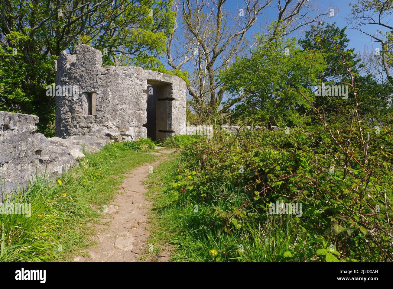 Aberlleiniog Château, Anglesey, au nord du Pays de Galles, Banque D'Images