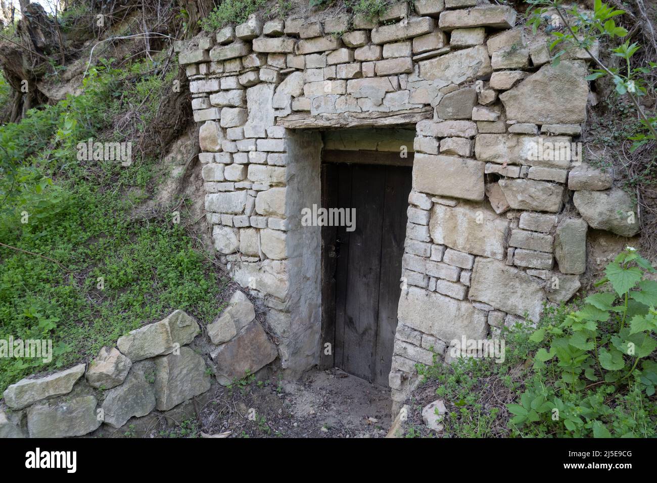 Randonnée dans une cave à vin en Basse-Autriche Banque D'Images