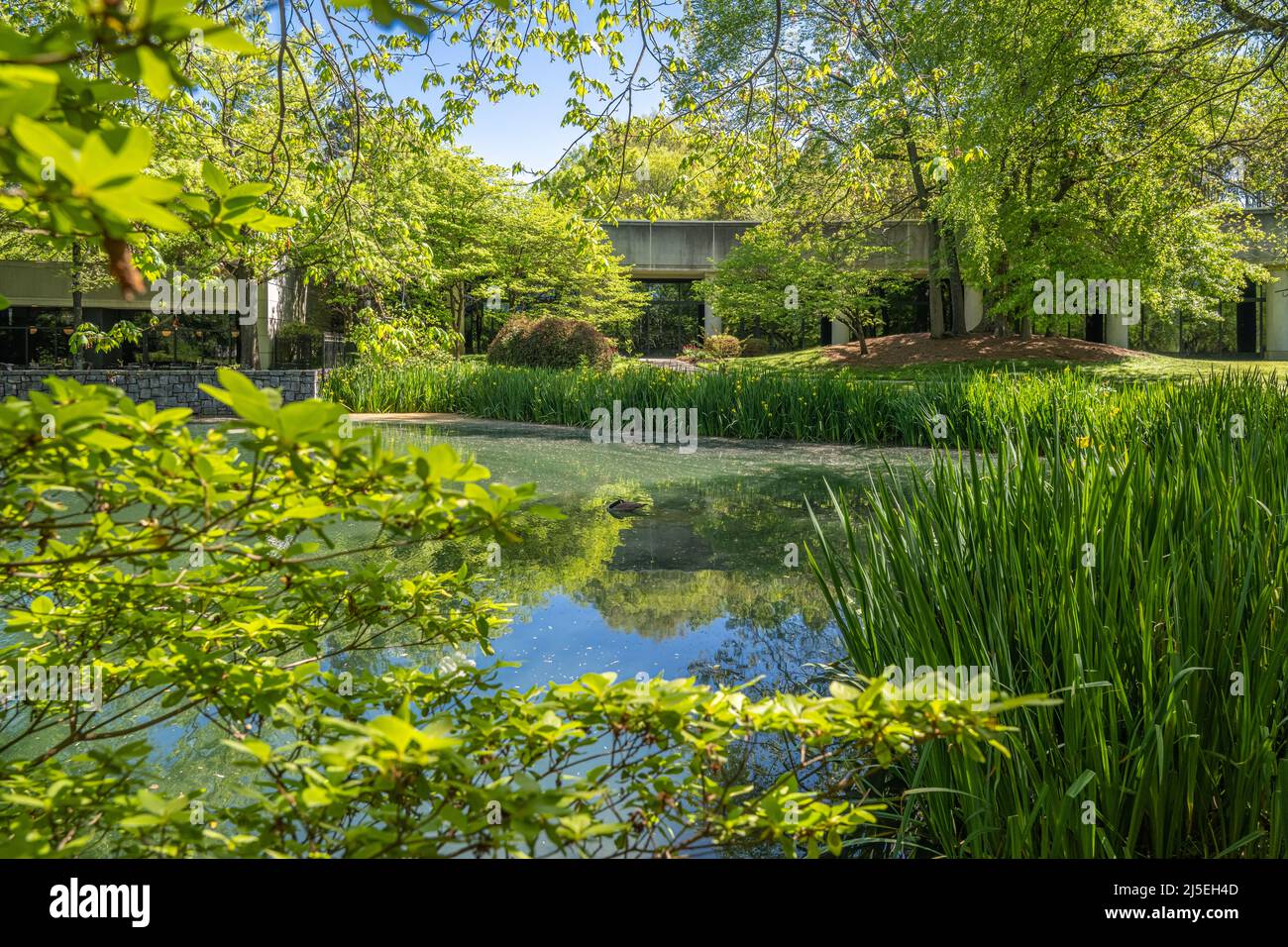 Jardins carter Center au carter Presidential Center, qui abrite la bibliothèque présidentielle et le musée Jimmy carter à Atlanta, en Géorgie. (ÉTATS-UNIS) Banque D'Images Jardins carter Center au carter Presidential Center, qui abrite la bibliothèque présidentielle et le musée Jimmy carter à Atlanta, en Géorgie. (ÉTATS-UNIS) Banque D'Images