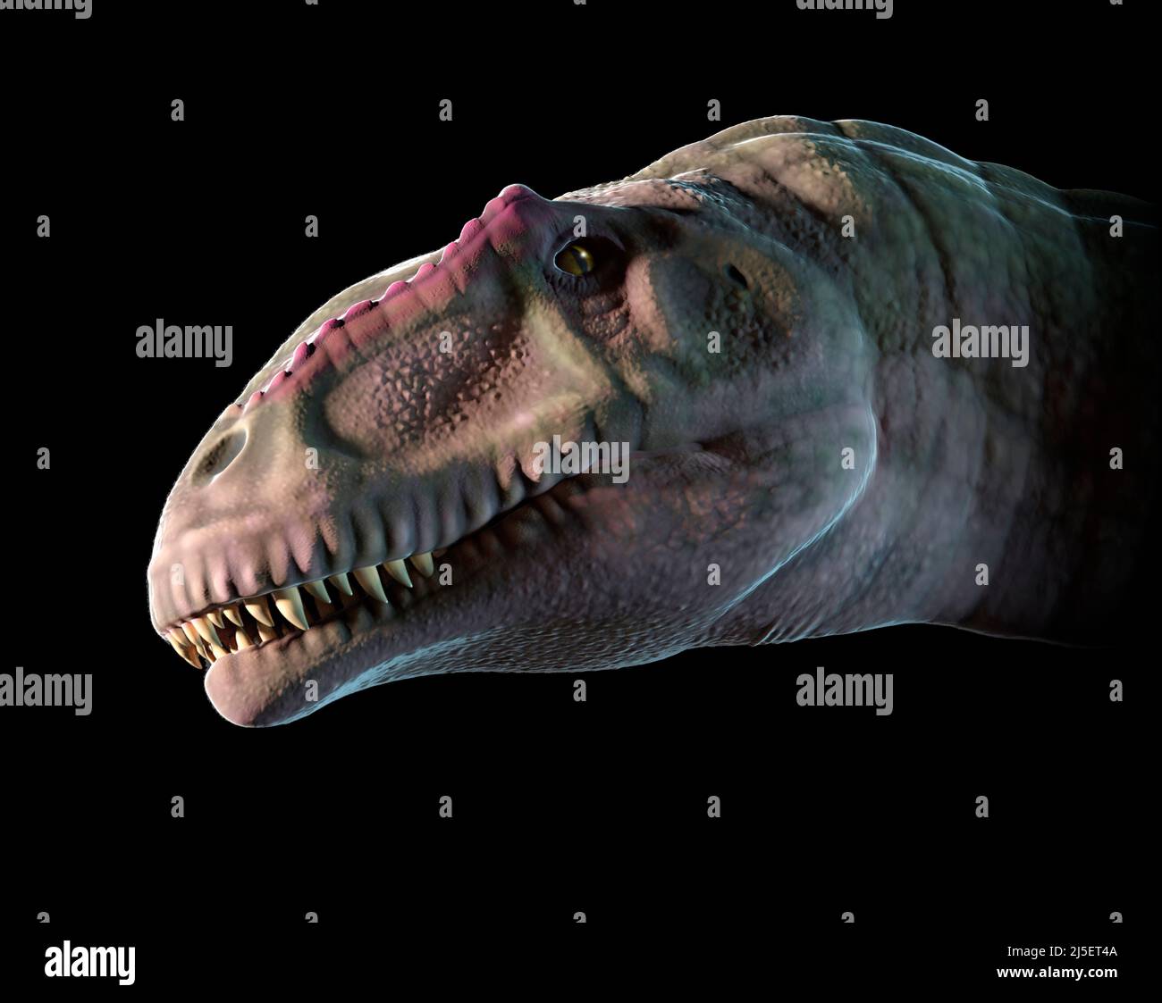 Œuvres de Giganotosaurus Banque D'Images
