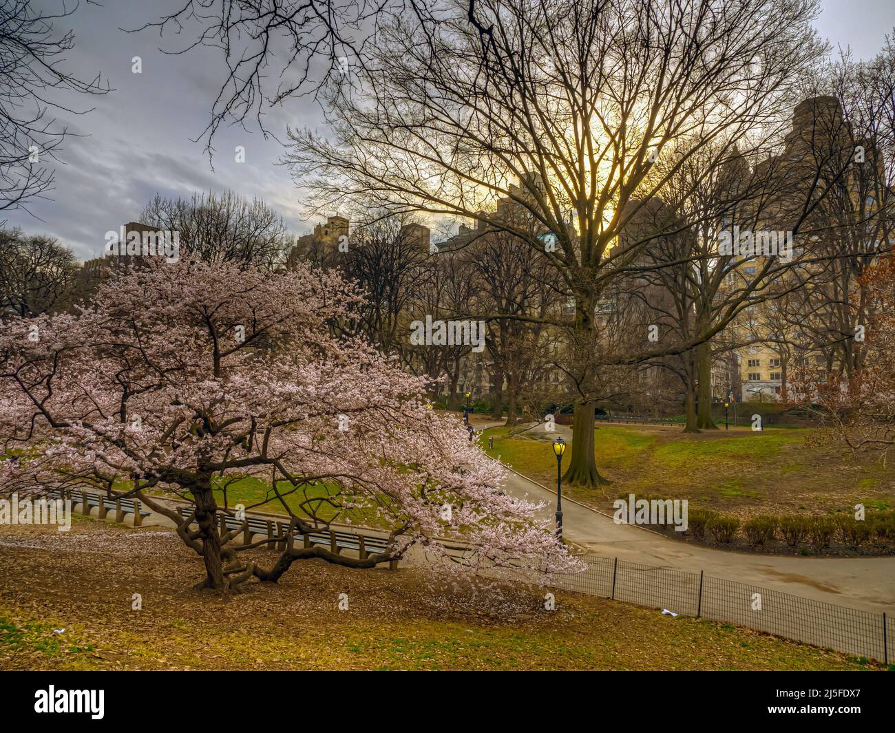Le printemps à Central Park, New York City Banque D'Images
