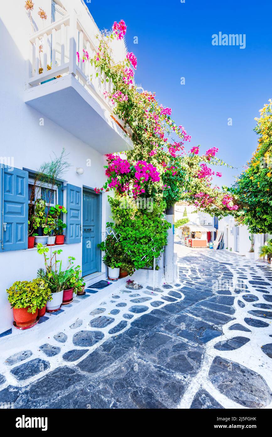 Île de Mykonos, Grèce - la vieille ville de Mykonos avec ses maisons blanchies à la chaux et ses rues pavées, les célèbres Cyclades grecs Banque D'Images