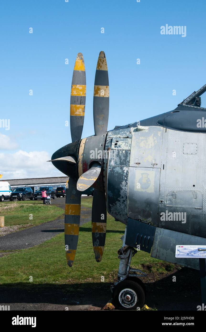 Musée de l'aviation de Solway - Fairey Gannet ECM6 XA459 Banque D'Images