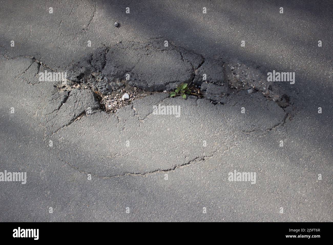 Herbe qui pousse à travers l'asphalte. Une fissure dans la route en gros plan Banque D'Images