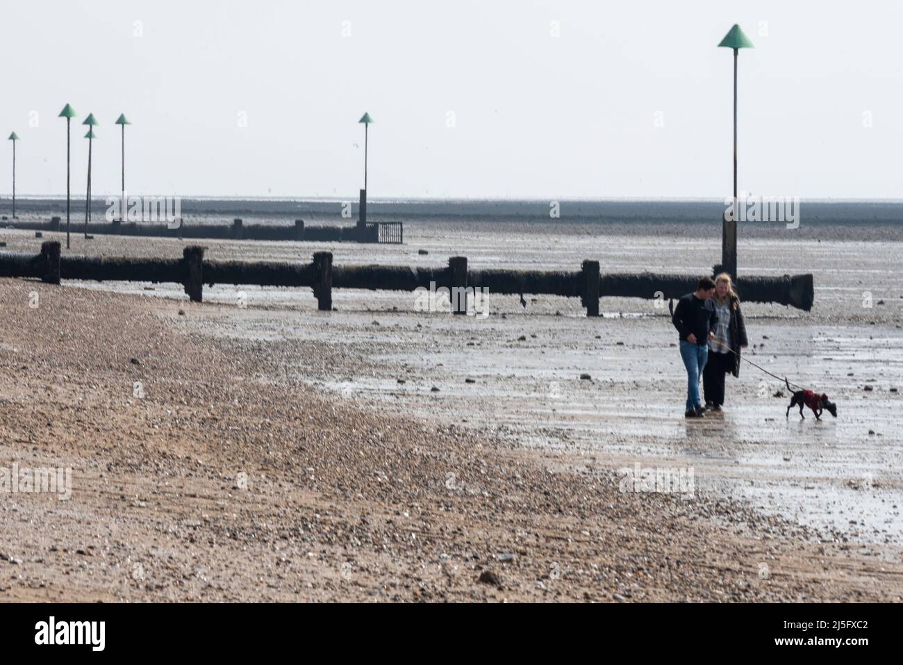 Southend on Sea, Essex, Royaume-Uni. 23rd avril 2022. Lors d'une journée nationale d'action sur la qualité de l'eau, les nageurs et les habitants concernés protestent contre le rejet d'eaux usées dans l'estuaire de la Tamise à Southend on Sea. Les plages de Southend ont été fermées dans le passé suite à la contamination par des tuyaux d'évacuation qui pompent des déchets non traités dans les eaux au large de la ville, et il y a un risque de problèmes de ce genre à moins que des mesures soient prises. Les conseillers locaux ont parlé de la nécessité de disposer d'eau propre pour attirer les visiteurs à la station balnéaire. Randonneurs à chiens par tuyau de sortie Banque D'Images