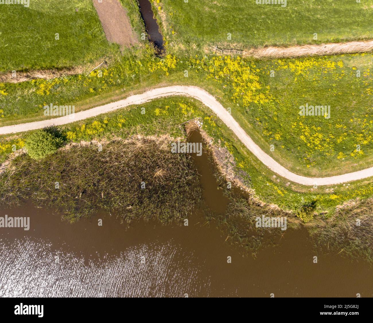 Scène aérienne de printemps de la rivière hollandaise près de Boornzwaag. Piste cyclable sur la digue qui serpend à travers la polder avec des fleurs jaunes. Frise, pays-Bas Banque D'Images