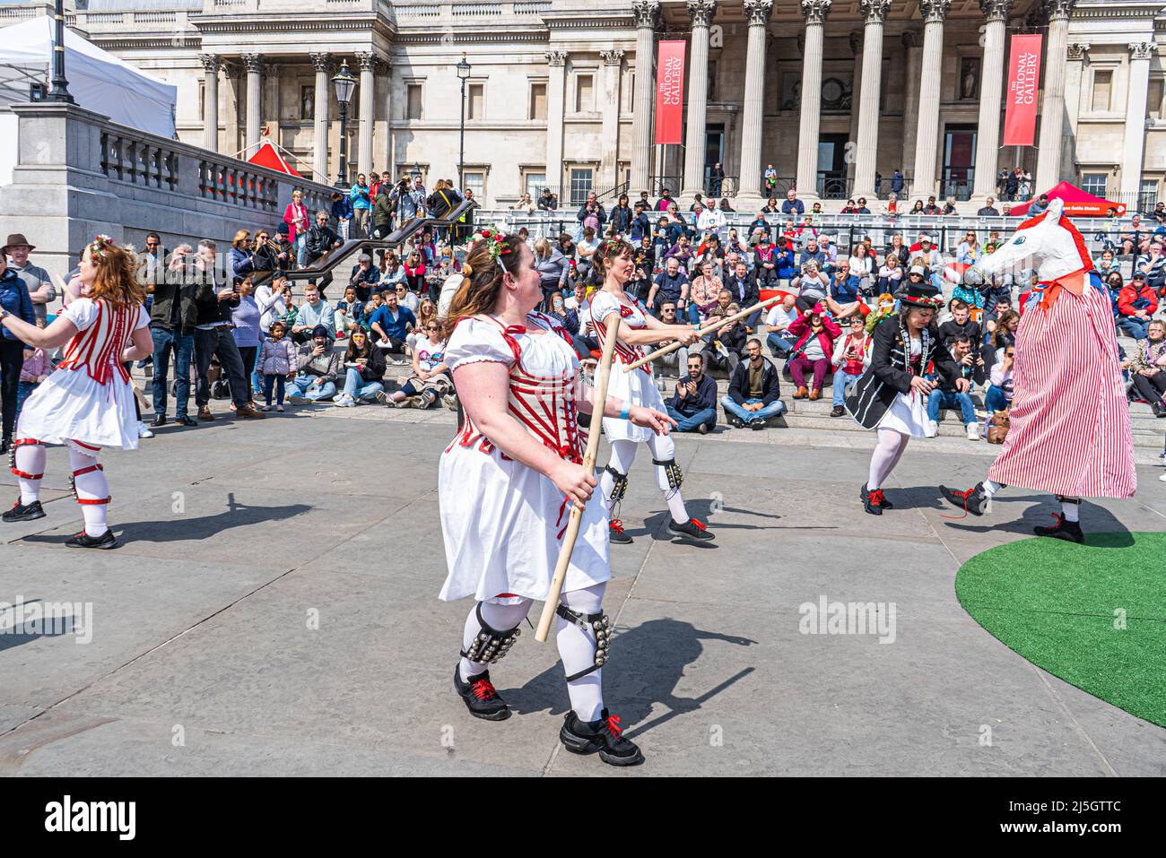 LONDRES, ROYAUME-UNI. 23 avril 2022 . Morris Belle Dancers et un cheval pantomime se produisent le jour de Saint George à Trafalgar Square avec un programme de musique live, de divertissement et de nourriture. Ce sera la première fois que les célébrations de la Saint-Georges ont lieu sur Trafalgar Square depuis 2019, qui ont été annulées en raison des restrictions du coronavirus covid-19 . Credit: amer ghazzal / Alamy Live News Banque D'Images