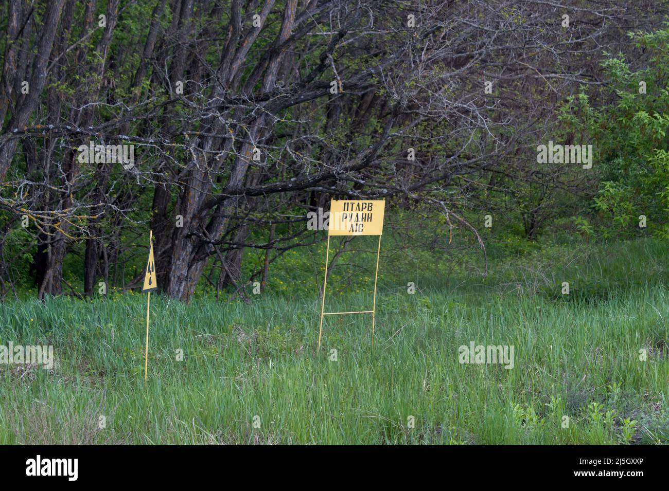 Connectez-vous à Tchernobyl. Contamination supplémentaire. Forêt rouge Banque D'Images