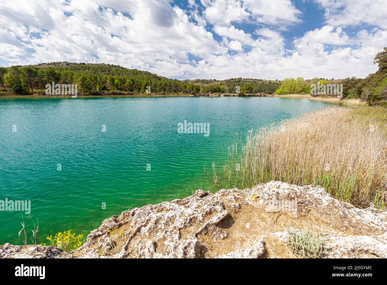 Batanas Lagon, Parc Naturel de las Lagunas de Ruidera, Ciudad Real, Espagne Banque D'Images